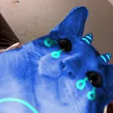 reniei