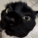 zainje