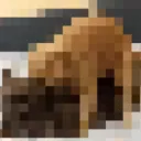 s.peen
