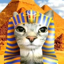 avatar Timon