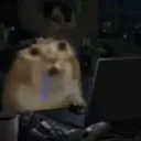 zektox