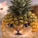 0xpineapple