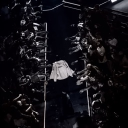 birdsao#3241's avatar