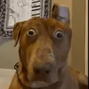 so_c0