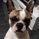 kotepa54#4446's avatar