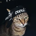 .cocoz