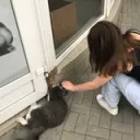 g1gston