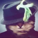 kripeqq