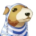 thedonstrachi
