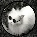 drballs