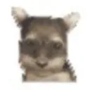 andywfr