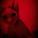 wolfinstinct