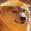 masterexcelsior