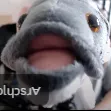 flokerde