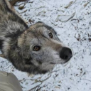 avatar Kathyyyyyyyyyyy