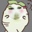 choedron