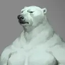 ski_ba