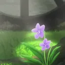 violetxf