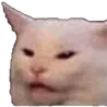 scootdatoot