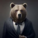 __.bear.__