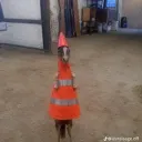 tacticalredneck