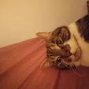 emilyisdead