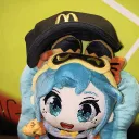 akucatfalcon