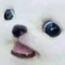 h.ck