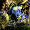 odinwolf