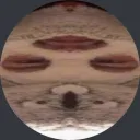 koaladev