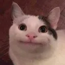 tngsten
