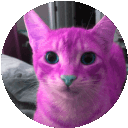 cats._