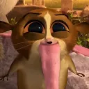 atypicalmoon