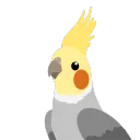 flatbird