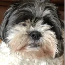 baebaebae._
