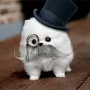 fragordie