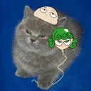 its_elcato