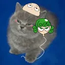 its_elcato