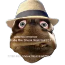 stabstheshook