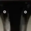 mozeoso