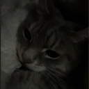 avatar you could be the one