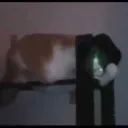smoothcriminal69