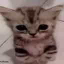 mlskartako_ avatar