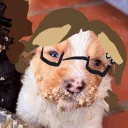 mociumpaniee