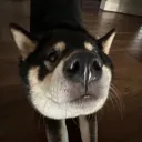 ethcptntski