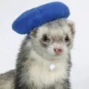 skirmiche