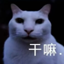 avatar Doormatsu