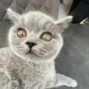 kuraa3qi