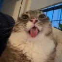 mertsu