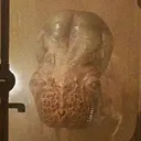 thepotatooverlord